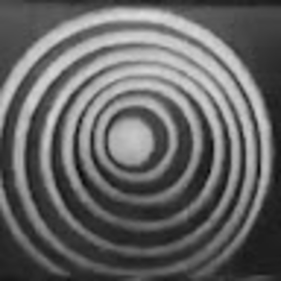 Meet your Posher, Cullen - Picture 1 of 1